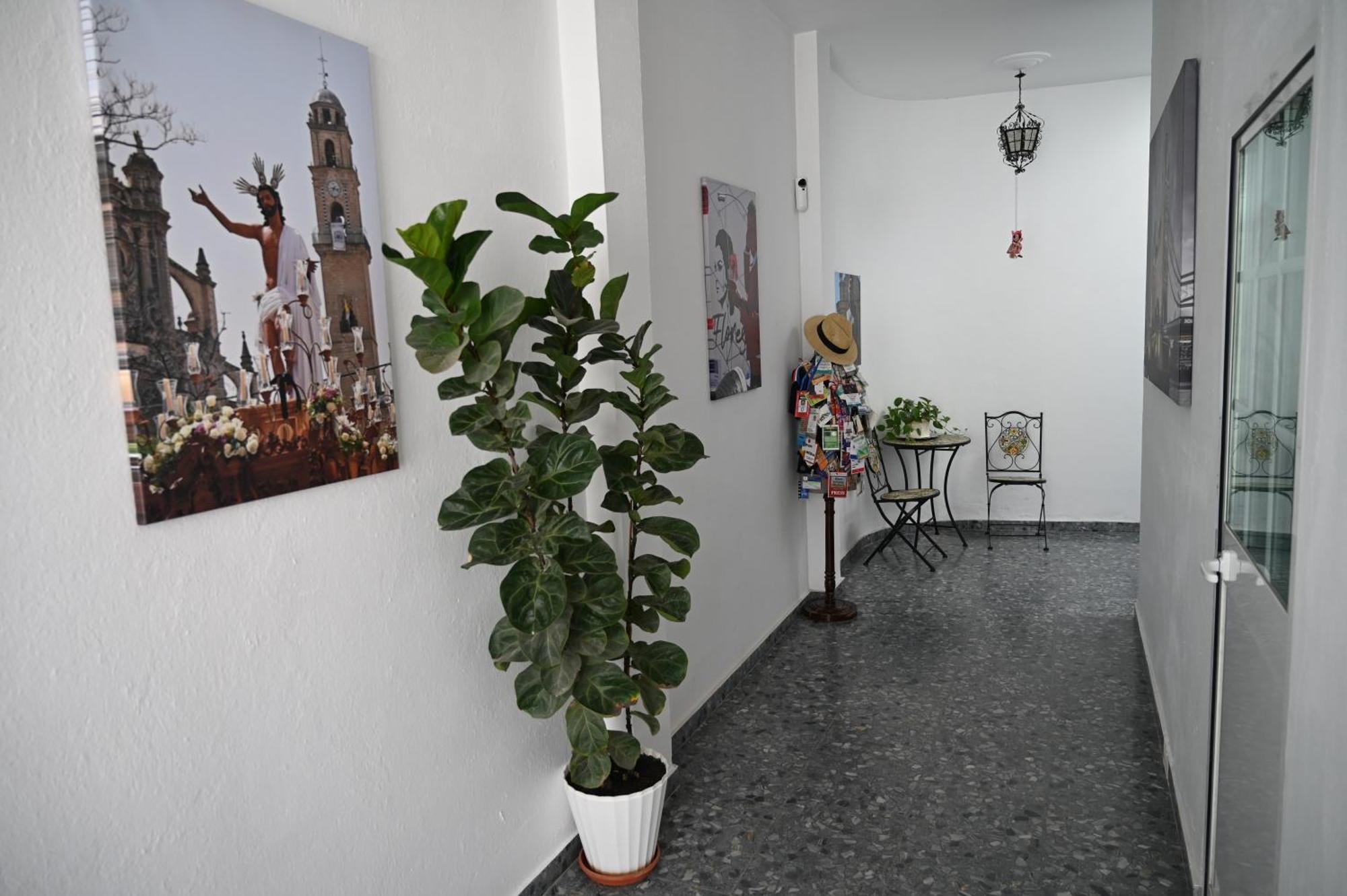 Bienvenidos A San Miguel Apartment Jerez de la Frontera Ngoại thất bức ảnh